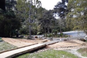 Some Waitakere tracks reopen as kauri plan progresses