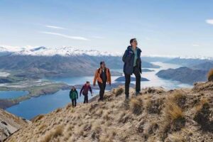 Visitor motivations and our most popular walks – DOC survey