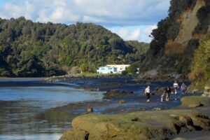 Freedom camping banned at Taranaki sites