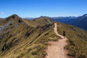 Kepler Track bookings “busiest opening day so far” – DOC