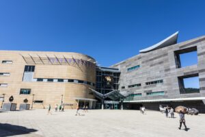 Te Papa visits fall 28% to 1.1 million due to Covid closures