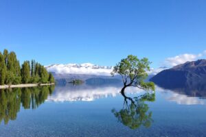 Lake Wānaka Tourism kicks off ‘Local’s Choice ‘competition