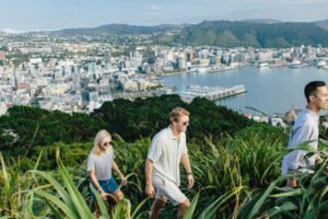 Wellington needs more green spaces, less parking – report