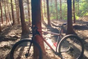 Nelson mountain bike trails under audit