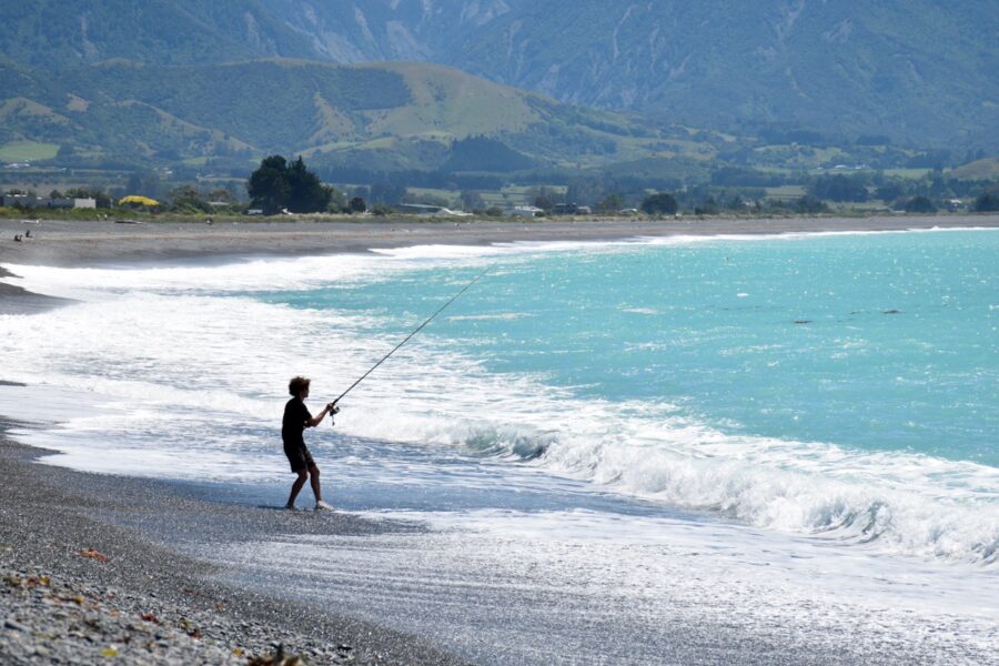 Angling season expected to attract 13k internationals – Fish & Game