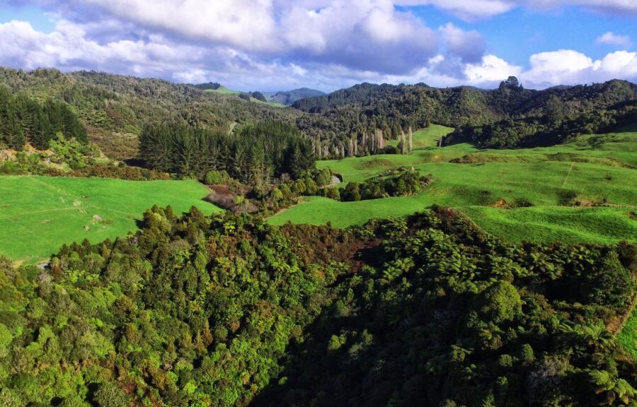 Discover Waitomo workers redeployed to $500k project