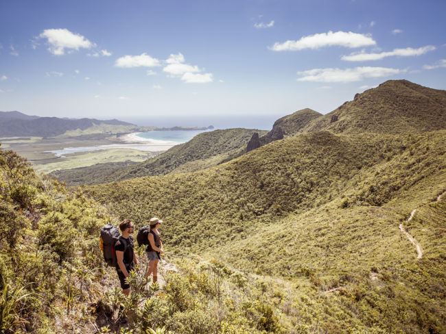 …but NZ islands from sub-tropical to windswept as popular as ever