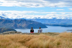 TDLG: Domestic insight, community sentiment, Māori tourism data priorities