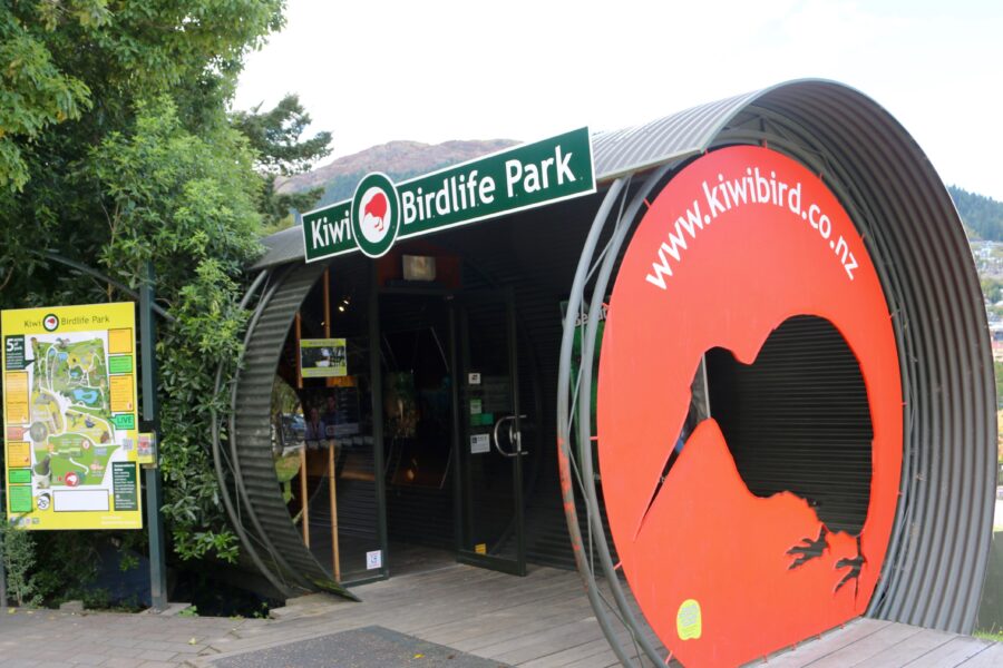 Kiwi Birdlife Park in “survival mode” as it marks 35 years