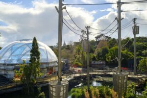 Roof goes on Auckland Zoo’s Indonesian habitat