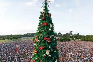 Christchurch Christmas in the Park cancelled