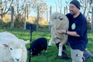 NZ Tourism Awards: Operator takes NZ farm to the world