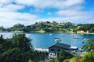Rakiura Stewart Island more than just a bucket list destination