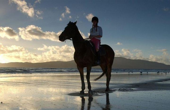 Forget freedom camping, Kāpiti saddles up for horse camping