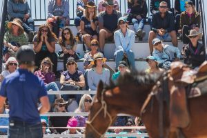 Taupō Equifest to boost tourism