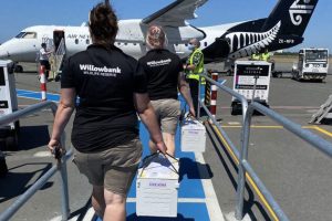 Air NZ, DOC give kiwi chicks wind beneath their wings
