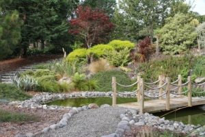 Ruapehu garden awarded 5-star garden of National Significance