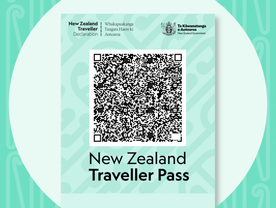 New traveller declaration required for all visitors