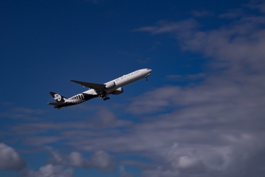 …while Air NZ highlights recovery as international numbers grow