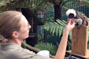 Zoo receives tick for animal welfare