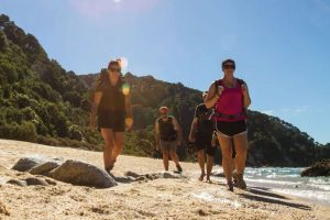 International visitors a summer boon for Great Walks