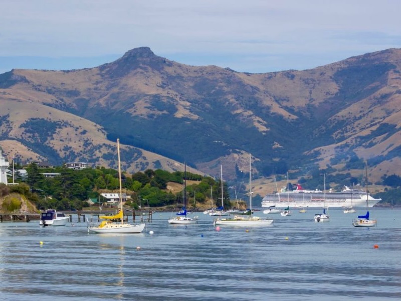Yes, dolphins have moved further from Akaroa but we see them on 98% of cruises – operator