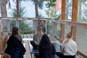 Ziptrek partnership takes mindfulness to the trees