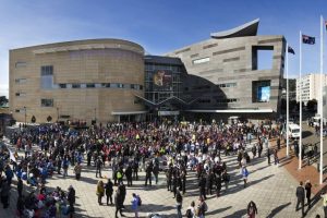 Te Papa looks to next 25 years with new vision