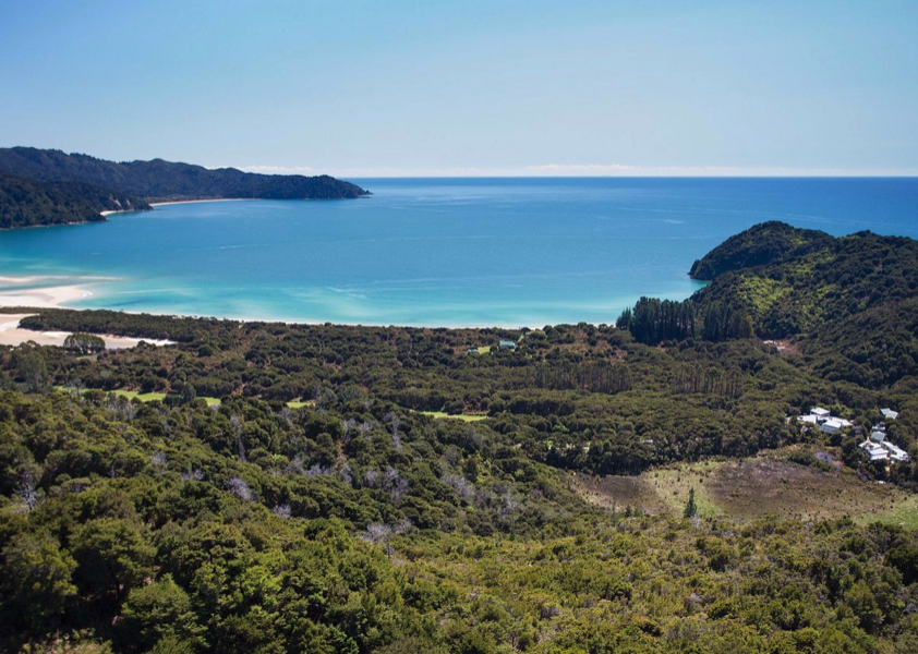Luxury Awaroa Lodge by  ‘NZ’s beach’ comes to market