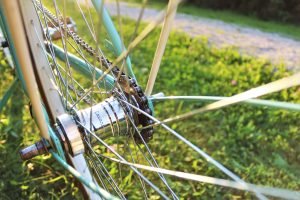 Cycle Journeys invests in carbon offsetting
