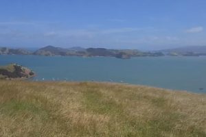 Coromandel visitors up 16% in March but spend drops