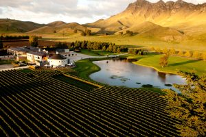 Wine industry lauds return of tourism