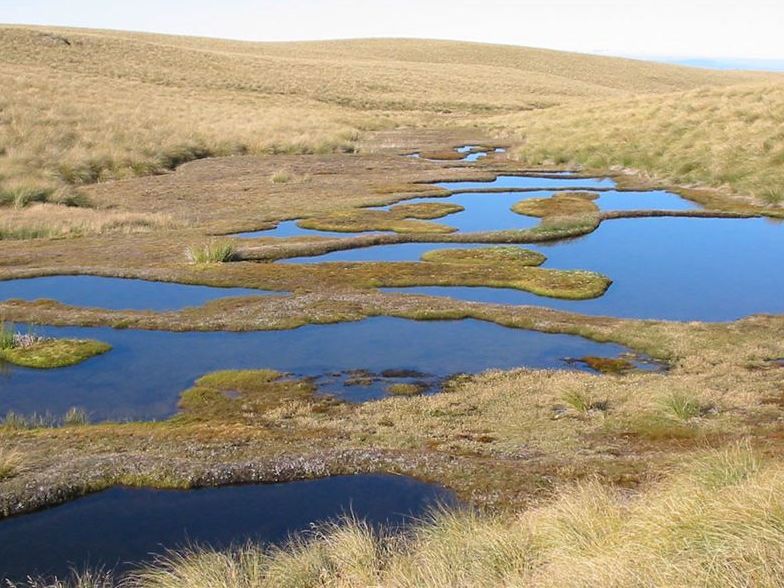 ORC highlights importance of wetlands