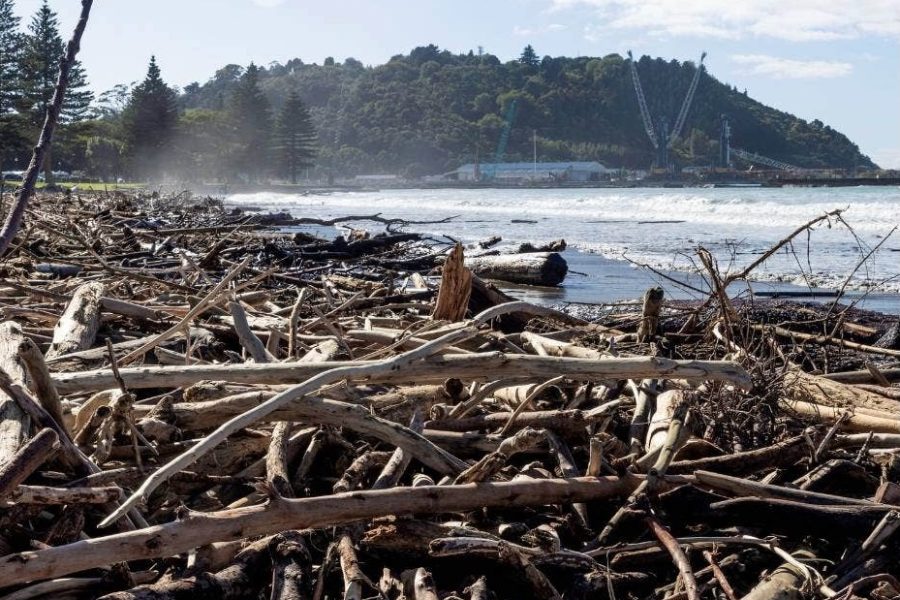 Gisborne boaties warned to watch for logs, debris