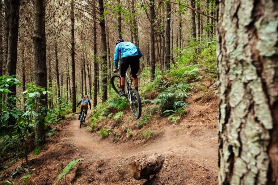 Taupō mountain bike park out of action for six months