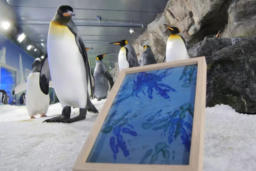 Penguin-created art raises funds for charity