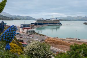 NZCA puzzled by claim cruise a burden on Christchurch ratepayers