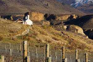 “World class” wine tourism venues on the way – Foley Wines