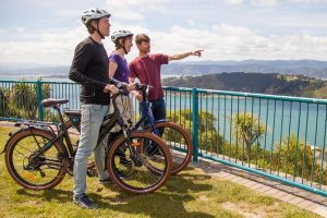 Wellington adds more e-bike tours of creative spaces
