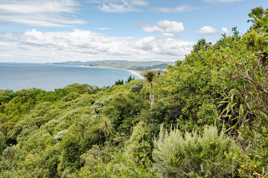 Hawke’s Bay operators team up for wilderness experience