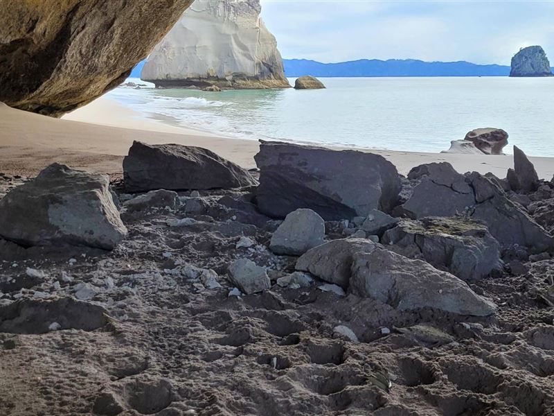 Rangers to be deployed at Cathedral Cove for summer