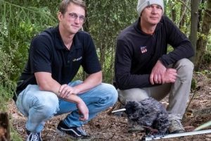 Hatchery trials ‘Robo-Kiwi’ to protect birds from dogs