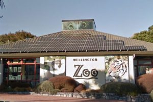 Wellington Zoo extends opening hours for Twilight Nights