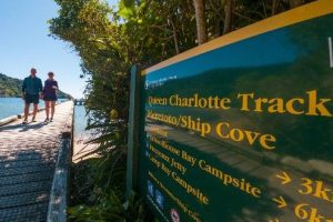 Queen Charlotte Track trialling shared pathway