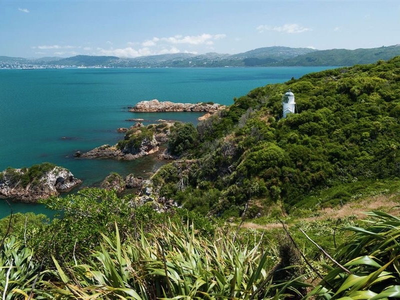 DOC to restrict Matiu Somes Island access