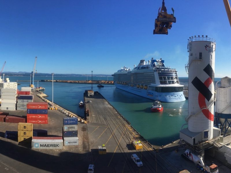 Napier Port on track for 91 cruise vessels