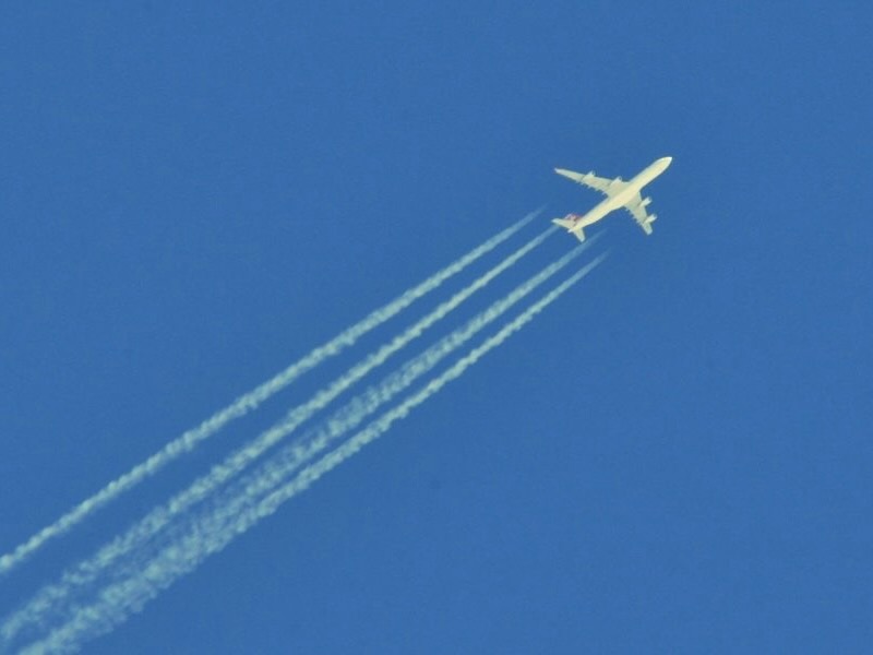 Council urged to address shipping, aviation emissions