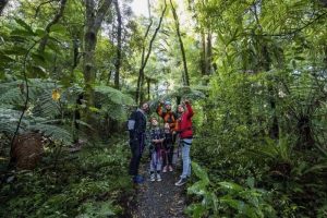 Rotorua Canopy Tours joins select group of B Corp tourism operators
