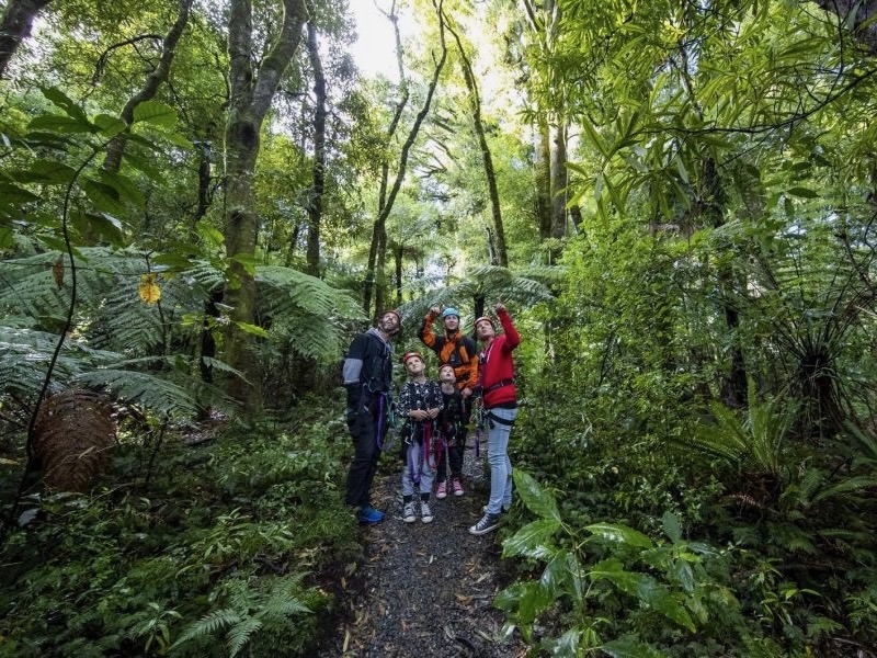 Rotorua Canopy Tours joins select group of B Corp tourism operators