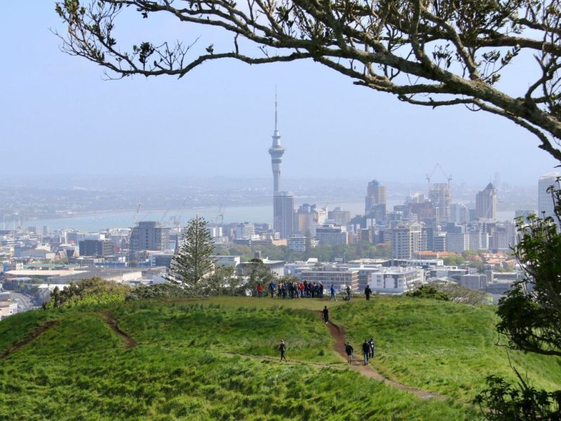 Auckland destination programme raises $2m from 130+ partners